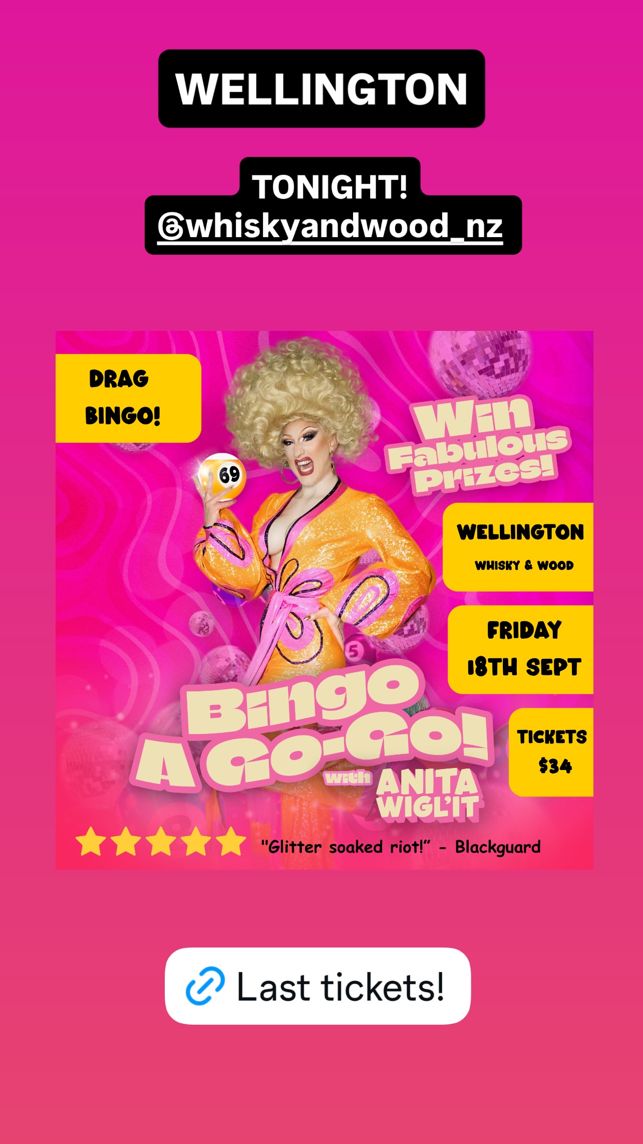 Bingo A Go-Go! with Anita Wigl'it